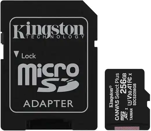 بطاقة ذاكرة كينجستون، 256 جيجا بايت، SDCS2/256GB - اسود